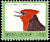 Crested Malimbe Malimbus malimbicus  1992 Birds definitives 