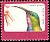 Superb Sunbird Cinnyris superbus  1992 Birds definitives 