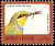 Swallow-tailed Bee-eater Merops hirundineus  1992 Birds definitives 
