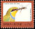 Swallow-tailed Bee-eater Merops hirundineus