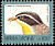 Cabanis's Bunting Emberiza cabanisi  1992 Birds definitives 