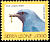 Blue Cuckooshrike Cyanograucalus azureus  1992 Birds definitives 