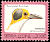 White-necked Rockfowl Picathartes gymnocephalus  1992 Birds definitives 