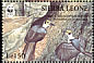 White-necked Rockfowl Picathartes gymnocephalus  1994 WWF Strip