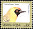 Southern Masked Weaver Ploceus velatus  1994 Imprint 1994 on 1992.05 