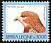 Red-necked Buzzard Buteo auguralis  1996 Imprint 1996 on 1992.05 