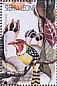 Red-and-yellow Barbet Trachyphonus erythrocephalus  1996 Fungi 8v sheet