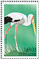 Yellow-billed Stork  Mycteria ibis