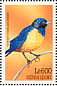 Hildebrandt's Starling Lamprotornis hildebrandti