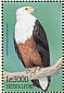 African Fish Eagle Icthyophaga vocifer