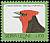 Crested Malimbe Malimbus malimbicus  2000 Imprint 2000 on 1992.05 