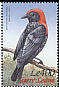 Red-vented Malimbe Malimbus scutatus  2000 Birds of Africa 