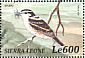 Brubru Nilaus afer  2000 Birds of Africa Sheet