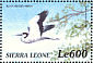 Black-headed Heron Ardea melanocephala  2000 Birds of Africa Sheet