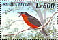 Black-headed Gonolek Laniarius erythrogaster  2000 Birds of Africa Sheet