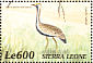 Hartlaub's Bustard Lissotis hartlaubii  2000 Birds of Africa Sheet