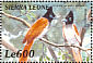 African Paradise Flycatcher  Terpsiphone viridis