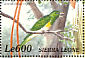 African Emerald Cuckoo Chrysococcyx cupreus  2000 Birds of Africa Sheet