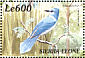 African Blue Flycatcher Elminia longicauda  2000 Birds of Africa Sheet