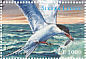Caspian Tern Hydroprogne caspia  2000 Seabirds of the world Sheet