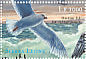 Glaucous Gull Larus hyperboreus  2000 Seabirds of the world Sheet