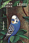 Budgerigar Melopsittacus undulatus  2000 Stamp Show 2000 Sheet
