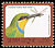 Swallow-tailed Bee-eater Merops hirundineus