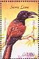 Helmet Vanga Euryceros prevostii  2003 Birds of Africa Sheet