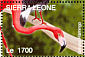 American Flamingo Phoenicopterus ruber  2004 Beautiful birds of the world Sheet
