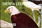 Bald Eagle Haliaeetus leucocephalus  2004 Beautiful birds of the world Sheet