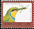 Swallow-tailed Bee-eater Merops hirundineus