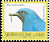 Blue Cuckooshrike Cyanograucalus azureus  2006 Imprint 2006 on 1992.05, 1999.02 