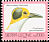 White-necked Rockfowl Picathartes gymnocephalus  2006 Imprint 2006 on 1992.05, 1999.02 