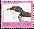 Black-backed Puffback Dryoscopus cubla  2006 Imprint 2006 on 1992.05, 1999.02 