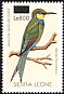 Swallow-tailed Bee-eater Merops hirundineus