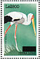 Yellow-billed Stork  Mycteria ibis