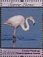 Greater Flamingo Phoenicopterus roseus  2011 Seabirds of West Africa Sheet