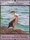 Reed Cormorant Microcarbo africanus  2011 Seabirds of West Africa Sheet