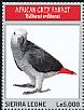 Grey Parrot Psittacus erithacus  2013 Parrots of Africa Sheet