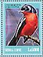 Crimson-breasted Shrike Laniarius atrococcineus  2013 Birds of Africa Sheet