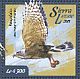 Lizard Buzzard Kaupifalco monogrammicus  2015 Birds of prey Sheet