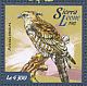 Jerdon's Baza Aviceda jerdoni  2015 Birds of prey Sheet