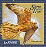 Fox Kestrel Falco alopex  2015 Birds of prey  MS