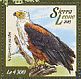 African Fish Eagle Icthyophaga vocifer  2015 African Fish Eagle Sheet