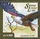 African Fish Eagle Icthyophaga vocifer  2015 African Fish Eagle Sheet