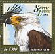 African Fish Eagle Icthyophaga vocifer  2015 African Fish Eagle Sheet