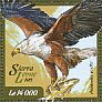 African Fish Eagle Icthyophaga vocifer  2015 African Fish Eagle  MS MS