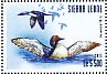 Pacific Loon Gavia pacifica  2015 Waterbirds Sheet