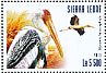 Painted Stork Mycteria leucocephala  2015 Waterbirds Sheet