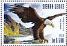 Bald Eagle Haliaeetus leucocephalus  2015 Eagles Sheet